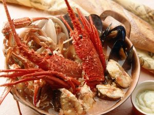 seafood-first-series-31640